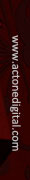 Visit Link Button